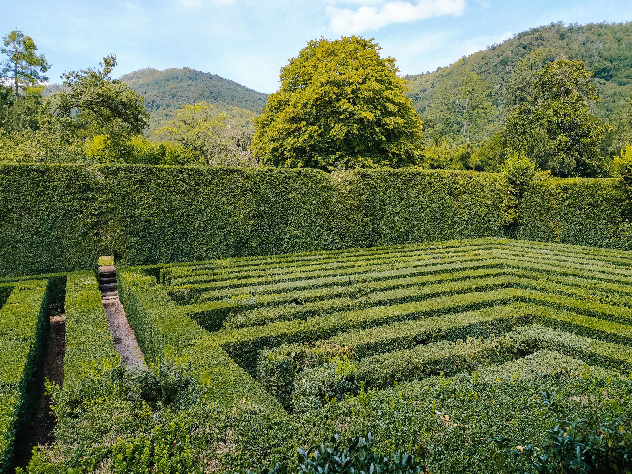 Green maze of Villa Barbarigo gardens, Valsanzibio, Padua.